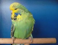 ws-babys2012.006.jpg